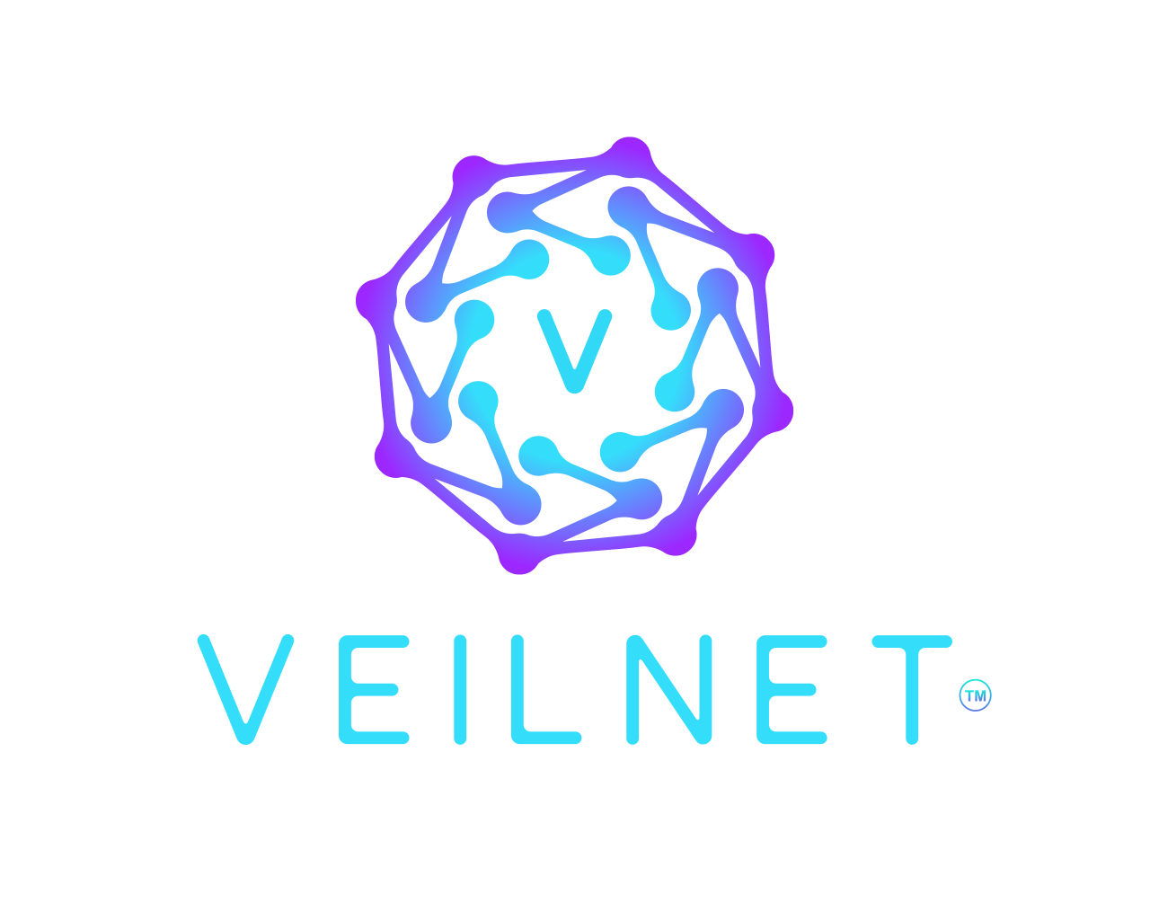 VeilNet